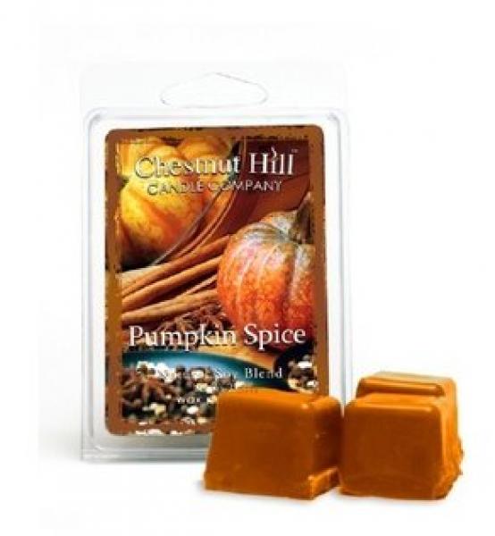 CHESTNUT HILL Candles Soja Duftwachs 85 g PUMPKIN SPICE